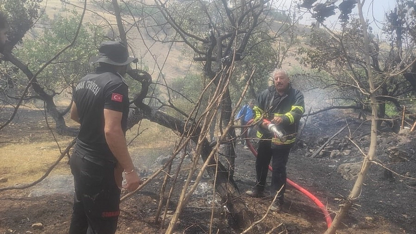 Şırnak 2025'te rekor kırdı