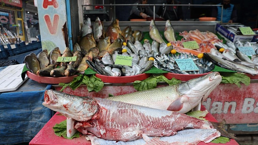 Soğuk havalarda vatandaşların balığa ilgisi artıyor