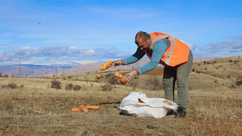 Sokak ve yaban hayvanları için doğaya yem bırakıldı