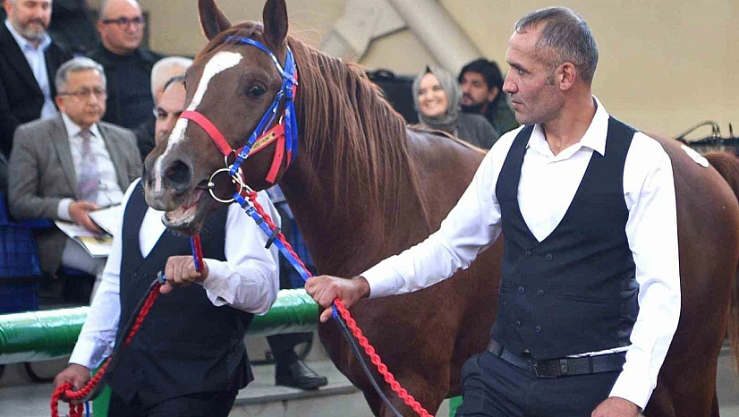 Sultansuyu İşletmesi'nden Cumhuriyet rekoru! 54 milyonluk ciro yaptı