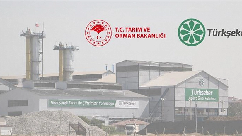TÜRKŞEKER 182 sürekli işçi alımı başladı: Başvuru şartları ve kontenjan dağılımı