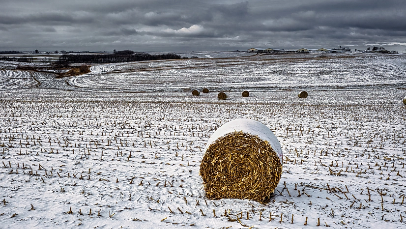 Üreticilere uyarı! Geç olmadan yaptırın!