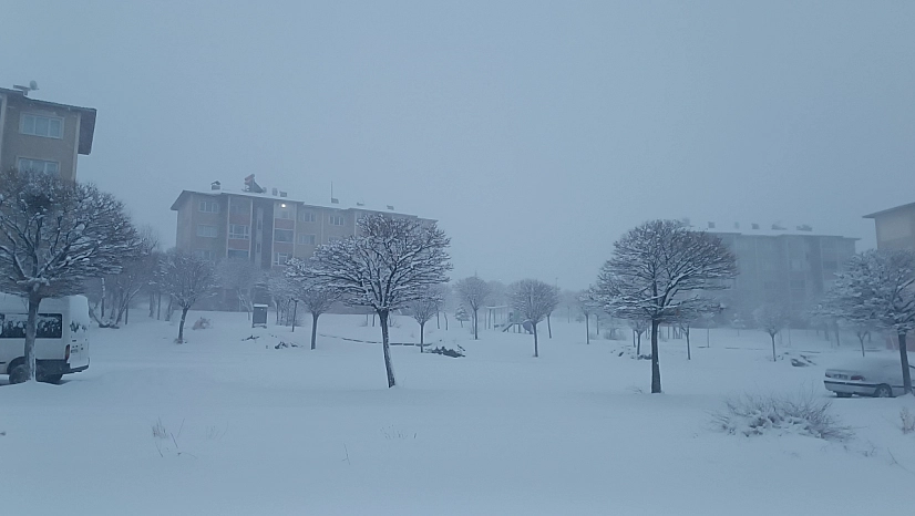 Van kar yağışı: 569 yol kapandı, uçak seferleri iptal edildi
