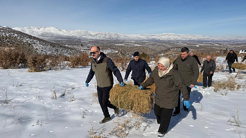 Yaban hayvanları için doğaya yem bırakıldı