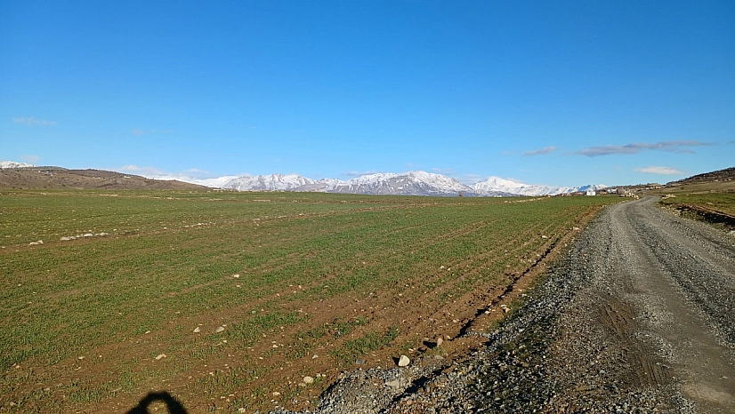 Yağışlar çiftçinin umudunu artırdı