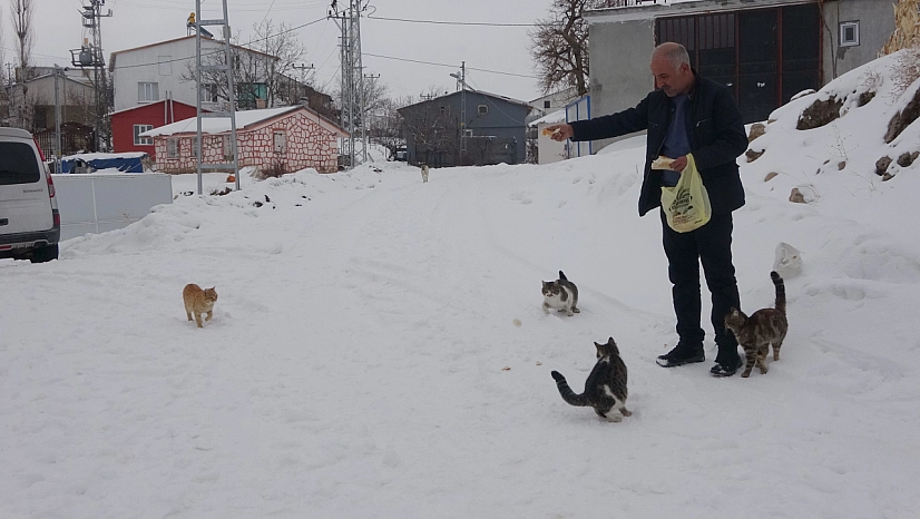 Yaklaşık 2 bin nüfuslu köyde kışın sadece bir aile yaşıyor