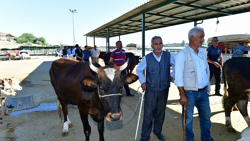 Kurban satış ve kesim yerleri belirlendi!