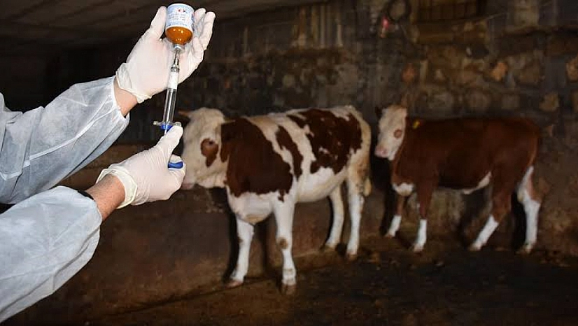 Yetiştiricilere müjde: Artık ücret alınmayacak!