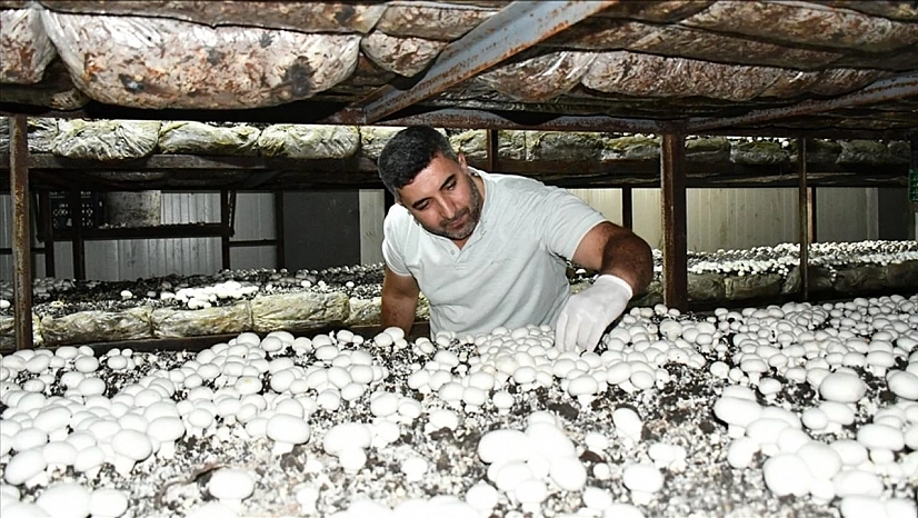 Yüzde 50 hibe ile 12 odalı tesis kurdu, 150 kişiye iş kapısı açtı