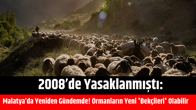 2008'de yasaklanmıştı: Malatya'da Yeniden Gündemde! Ormanların Yeni 'Bekçileri' Olabilir