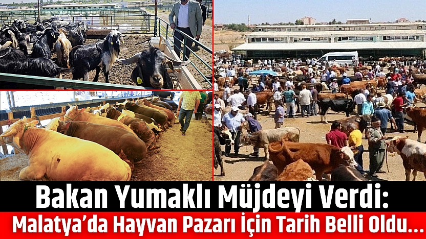 Bakan Yumaklı Müjdeyi Verdi: Malatya'da Hayvan Pazarı İçin Tarih Belli Oldu…