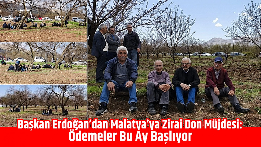 Başkan Erdoğan'dan Malatya'ya zirai don müjdesi: Ödemeler başlıyor
