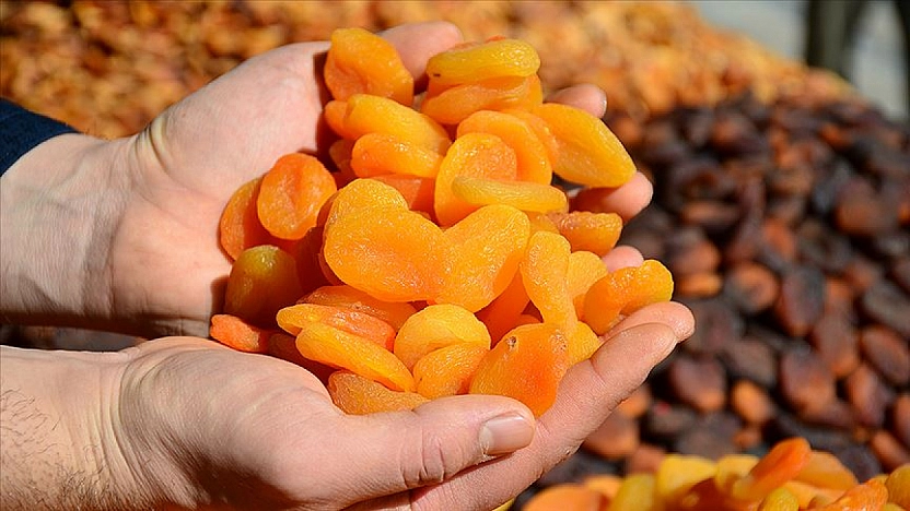 Kuru kayısıda ihracat arttı, gelir azaldı: birim fiyatları yüzde 15 geriledi