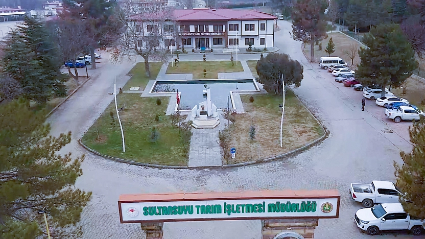 Malatya'da 19 atın kaçışı cezasız kalmadı: Skandalın bedeli ağır oldu