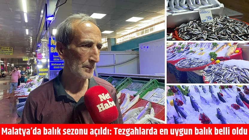 Malatya'da balık sezonu açıldı: Tezgahlarda en uygun balık belli oldu