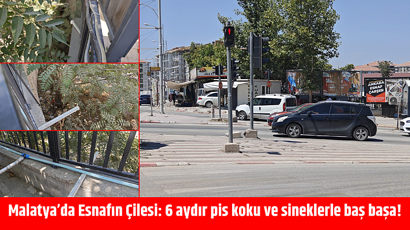 Malatya'da Esnafın Çilesi: 6 aydır pis koku ve sineklerle baş başa!