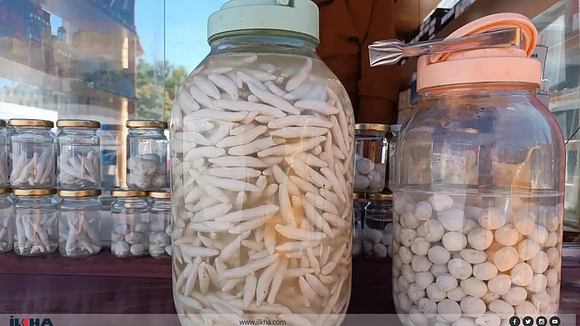 Malatya'da fiyatı rekor kırdı... Çeyrek altınla yarışıyor... Kilosu 7 bin 500 TL 'den satılıyor
