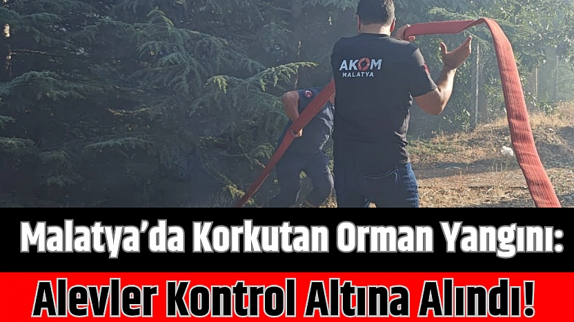 Malatya'da Korkutan Orman Yangını: Alevler Kontrol Altına Alındı!