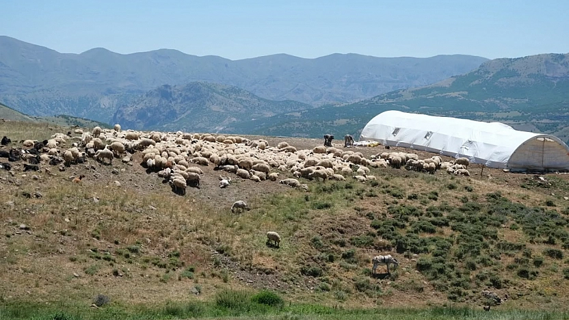 Malatya'da mera alanları yüzde 7,1 arttı