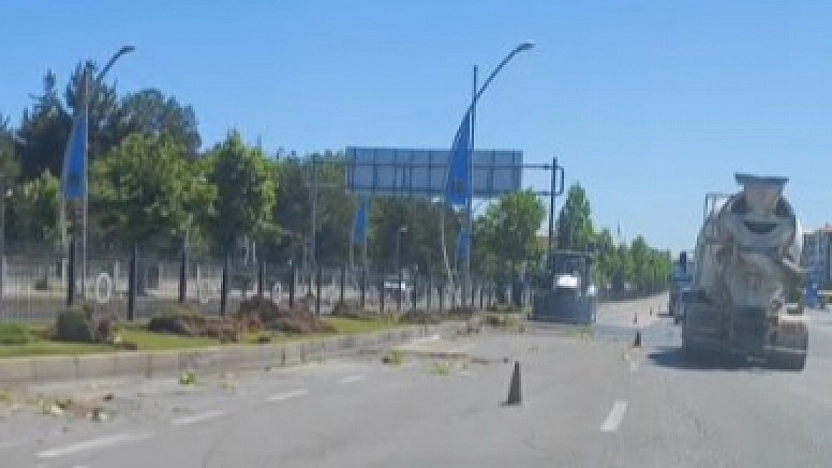 Malatya'da sessiz katliam! Refüjdeki ağaçlar yerinden söküldü!