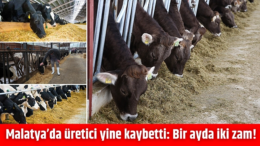 Malatya'da üretici yine kaybetti: Bir ayda iki zam!