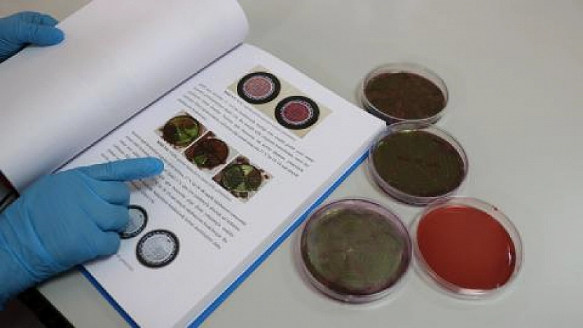 Malatya'da yapılan araştırma gerçeği ortaya çıkardı! Çiğ Sütten Geçiyor