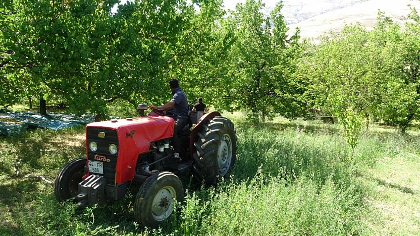 Malatya'da yüzde yüz zarar görmüştü..! 'Hasadı bir hafta önce başlamıştı.. Bir hafta da sürecek'