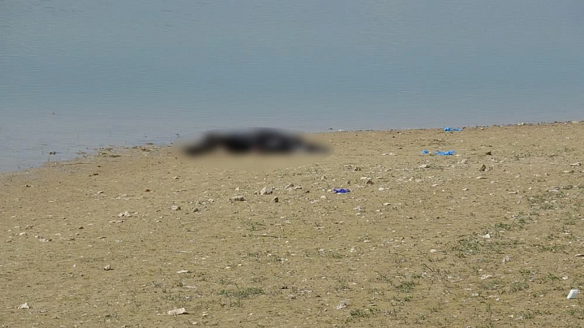 Piknik yapanlar fark etti! Pınarbaşı Göleti'nde erkek cesedi bulundu