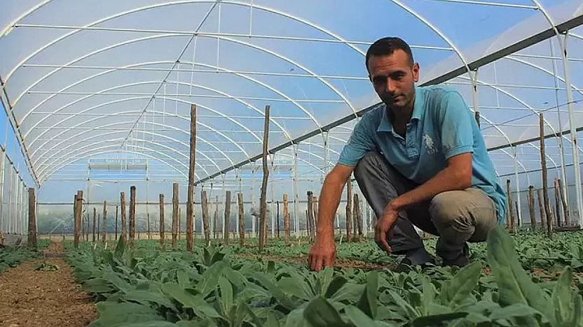 Malatyalı genç çiftçilere müjde! Devletten büyük destek paketi…