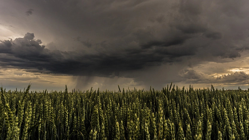 Malatyalılar dikkat! Gün boyu yağış bekleniyor…