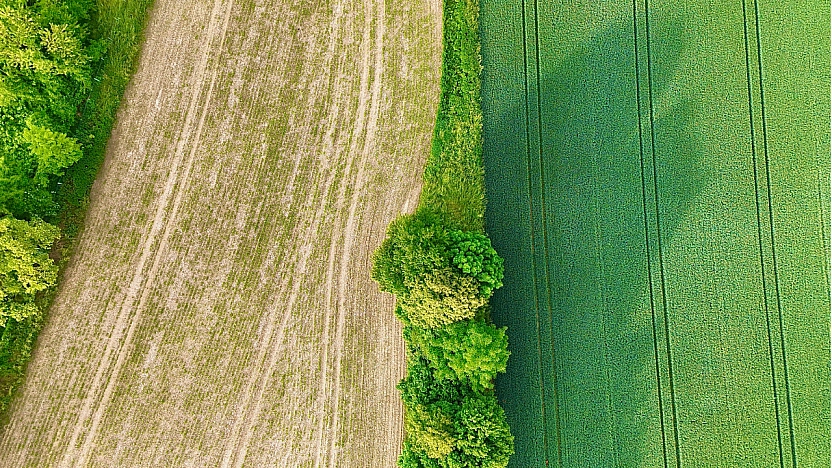 TOKİ Malatya'da açık artırmayla arsa satacak