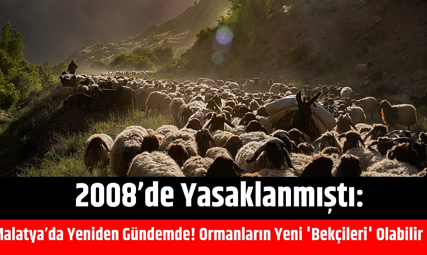 2008'de yasaklanmıştı: Malatya'da Yeniden Gündemde! Ormanların Yeni 'Bekçileri' Olabilir
