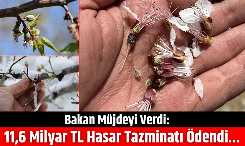 Bakan müjdeyi verdi: 11,6 milyar TL hasar tazminatı ödendi…