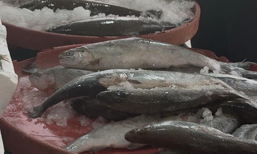 Balık pazarında hareketlilik arttı: Peki balık fiyatları nasıl? İşte en çok satılan balıklar ve fiyatları...