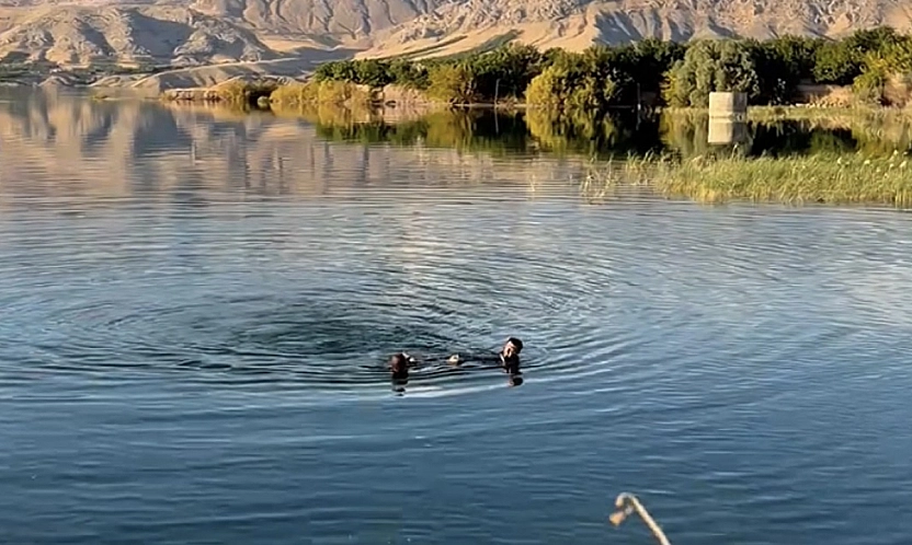Barajda erkek cesedi bulundu! Ekipler 20 dakika sonra sudan çıkardı
