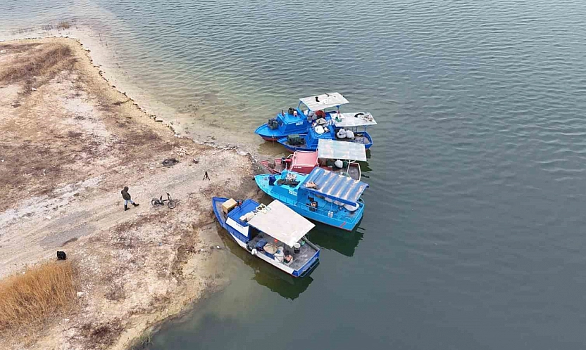 Malatya'nın gelir kapısı oldu: Günlük 2 ton toplanıyor, Ortadoğu ülkelerine satılıyor…