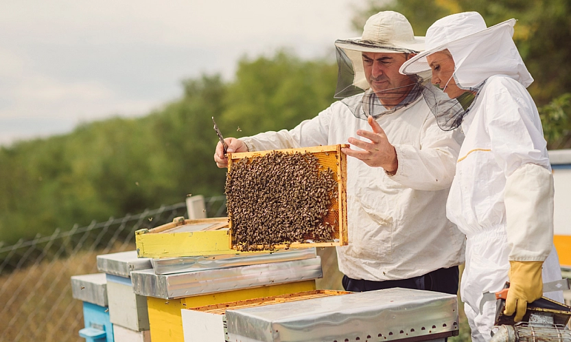 Destek ödemeleri yüzde 51 artırıldı!