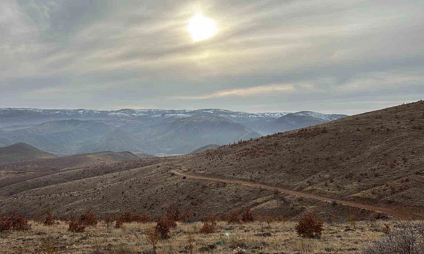 Gözler Malatya'ya çevrildi: NTE'de Türkiye'nin yeni merkezi