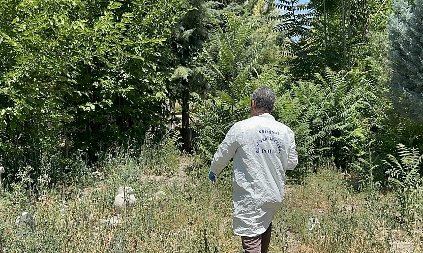 Malatya'da 71 yaşındaki adam ağaca asılı halde bulundu