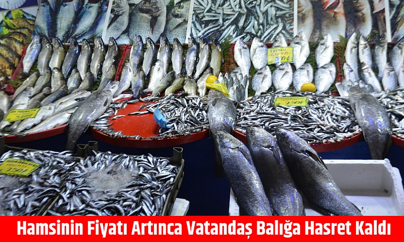 Hamsinin fiyatı artınca vatandaş balığa hasret kaldı