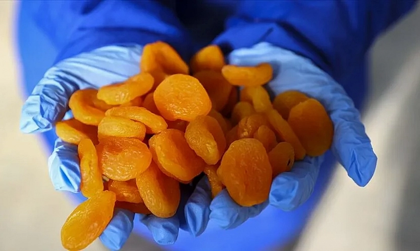Kayısıda rekolte açıklanmayacaktı! Rakamları sızdırdılar… Sorumlusu kim?