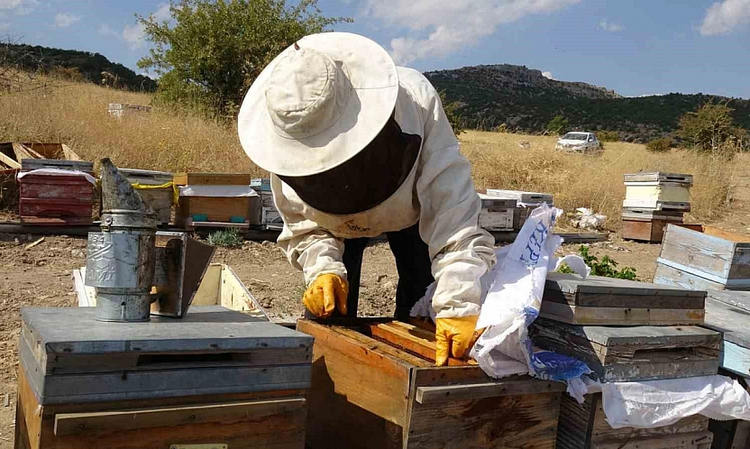 Malatya'da 150 kovandan çıkan bal yok sattı