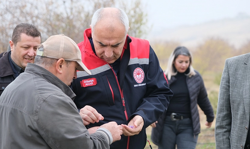Malatya'da 2017 yılından 3 dekarlık alana ekti! Üretimi her geçen yıl bereketleniyor…