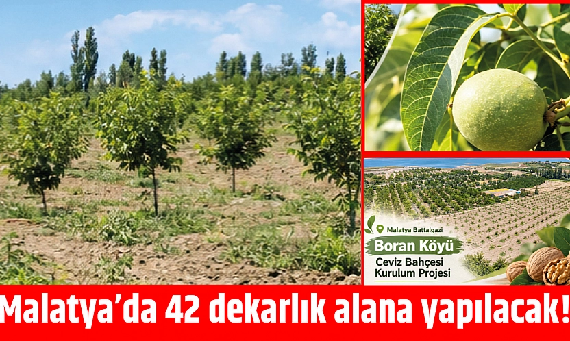 Malatya'da 42 dekarlık proje! Üretime katkı sağlayacak