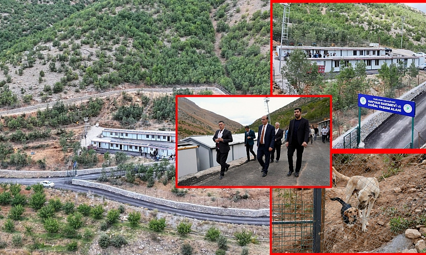 Malatya'da 50 dönümlük alanda inşa edildi! Sahipsiz hayvanların yuvası olacak