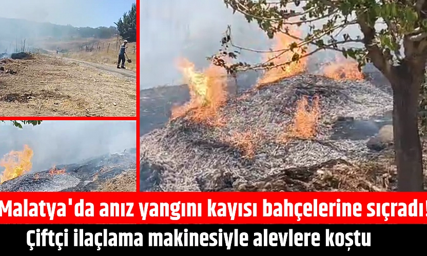 Malatya'da anız yangını kayısı bahçelerine sıçradı! Çiftçi ilaçlama makinesiyle alevlere koştu