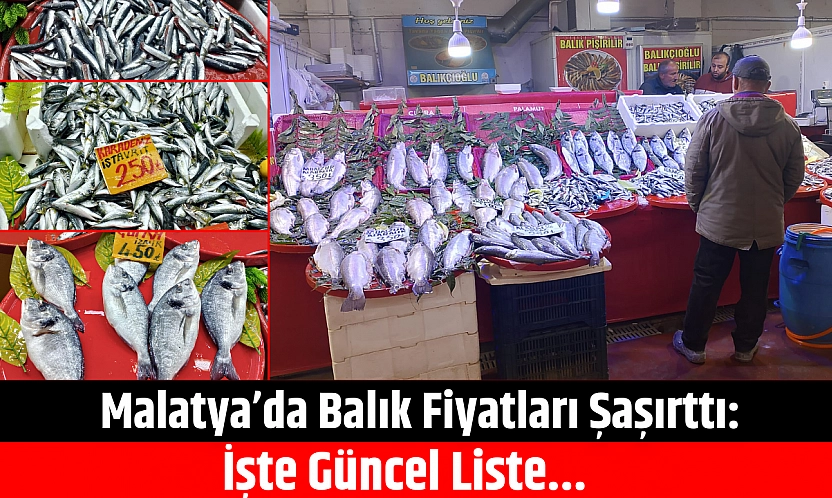 Malatya'da Balık Fiyatları Şaşırttı: İşte Güncel Liste