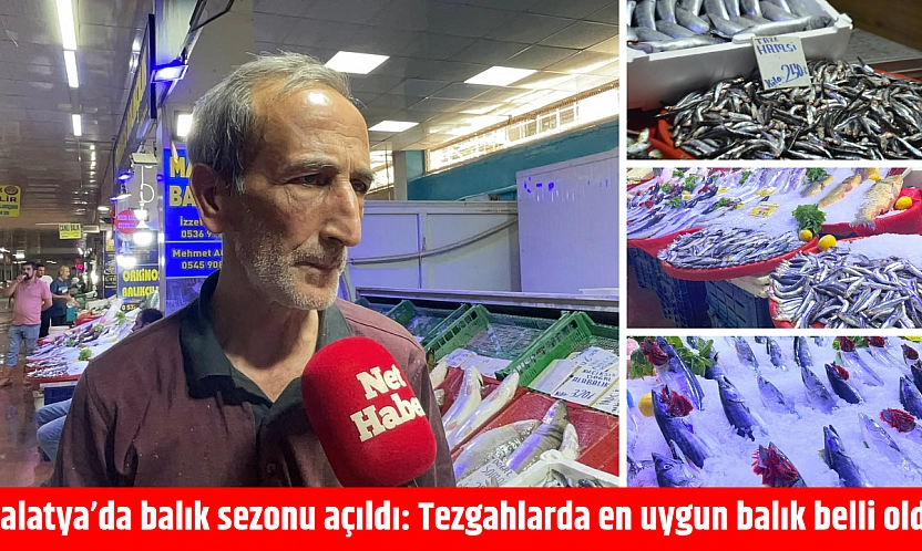 Malatya'da balık sezonu açıldı: Tezgahlarda en uygun balık belli oldu