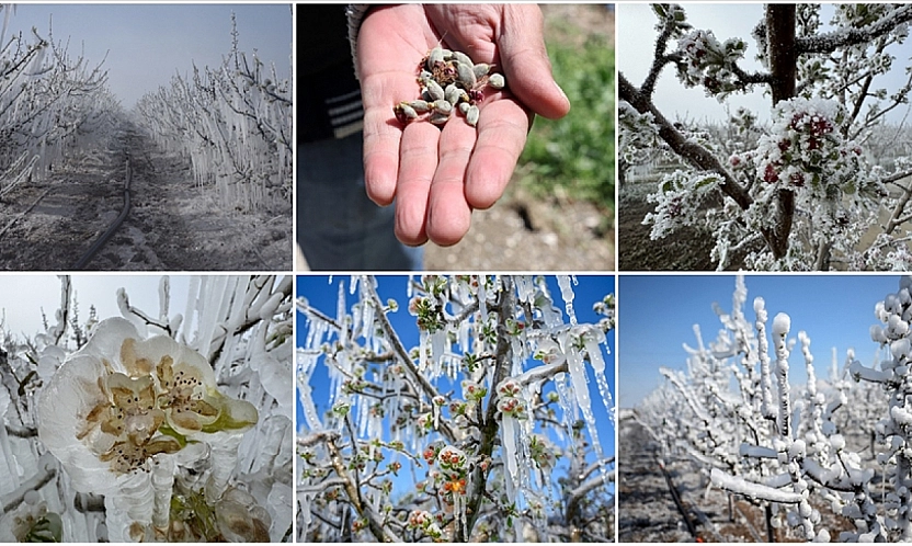 Malatya'da borcu olan çiftçiler dikkat! Artık verilmeyecek…