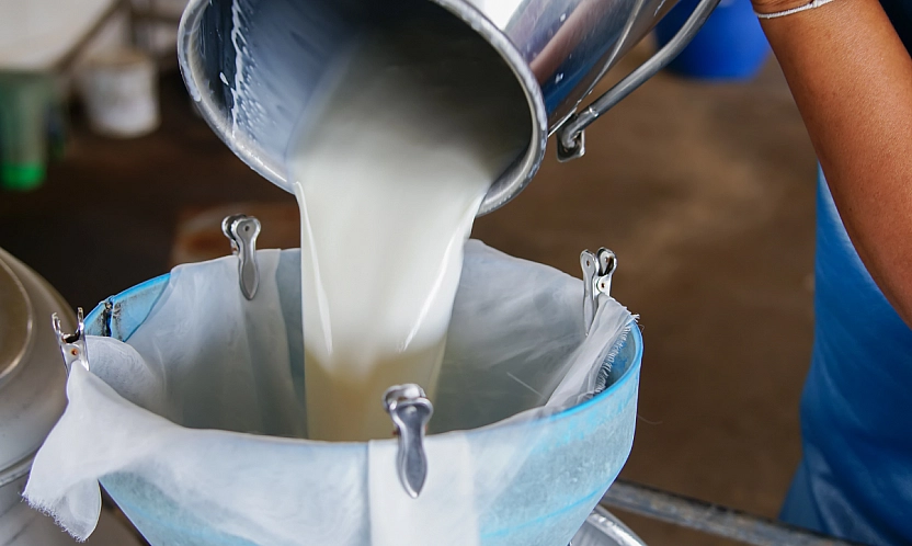 Malatya'da çiğ süt fiyatları belli oldu